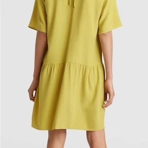 NWT Eileen Fisher Tencel Viscose Drop Waist Short Dress in Yarrow (size small)